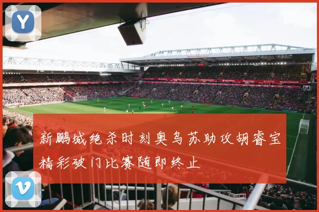 新鹏城绝杀时刻奥乌苏助攻胡睿宝精彩破门比赛随即终止